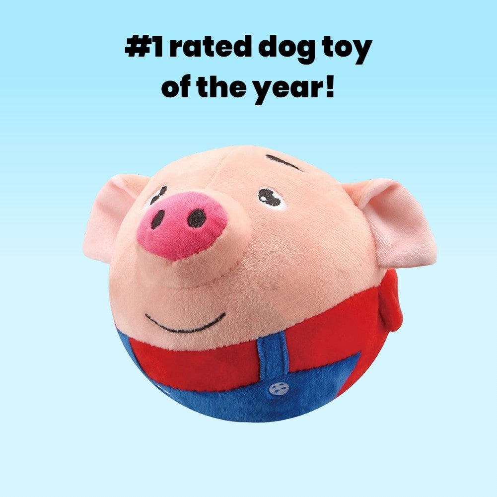 Dancing Piggy - interactive dog toy